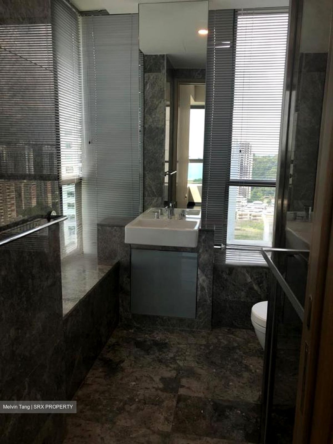 Skyline Residences (D4), Condominium #423129181
